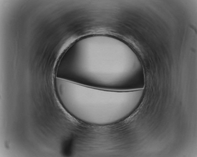 X0000098111424200804040751