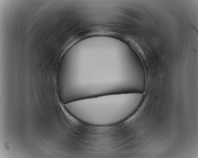 X0000098111425200804040751