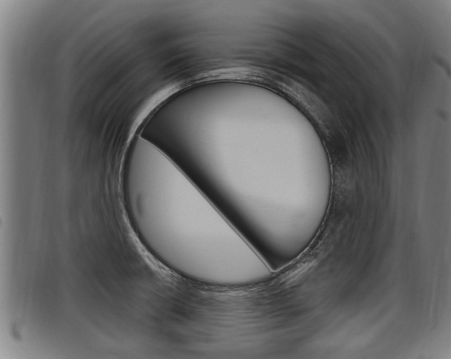 X0000098111426200804040751