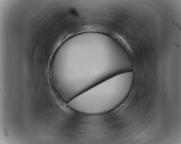 X0000098111427200804040751