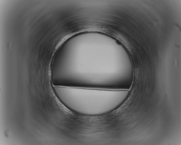 X0000098111428200804040751
