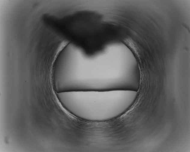 X0000098111429200804040751