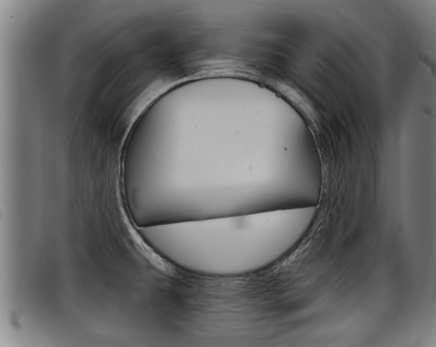 X0000098111431200804040751