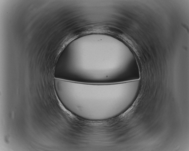 X0000098111433200804040751