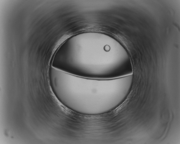 X0000098111434200804040751
