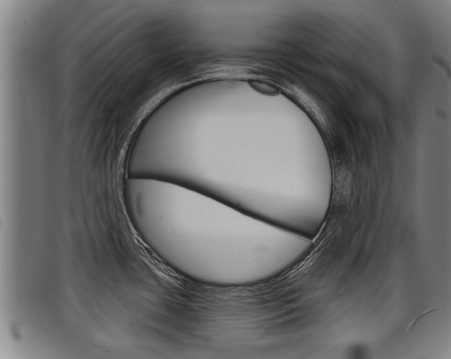 X0000098111435200804040751