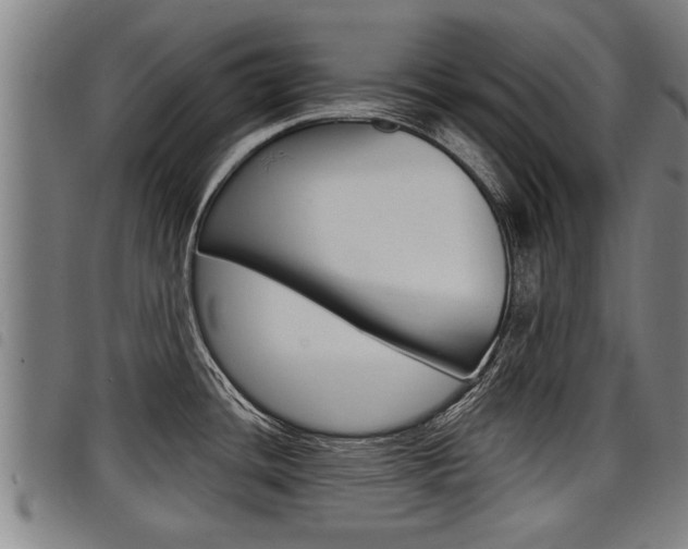 X0000098111436200804040751