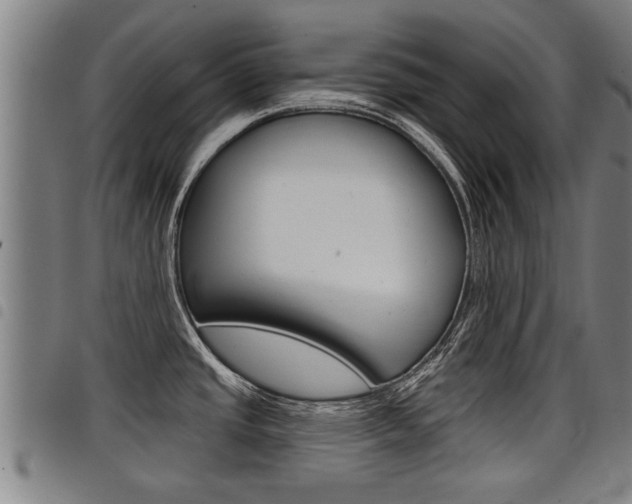X0000098111437200804040751