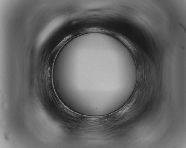 X0000098111438200804040751