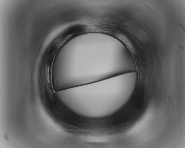 X0000098111439200804040751