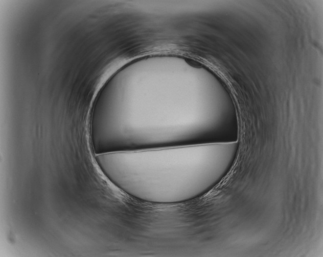 X0000098111440200804040751