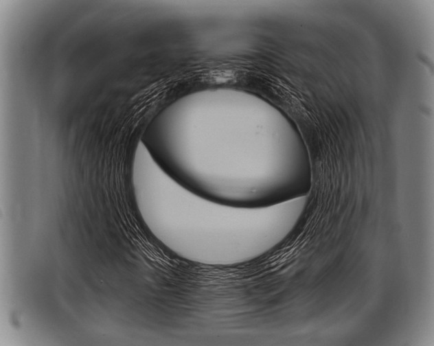 X0000098111442200804040751