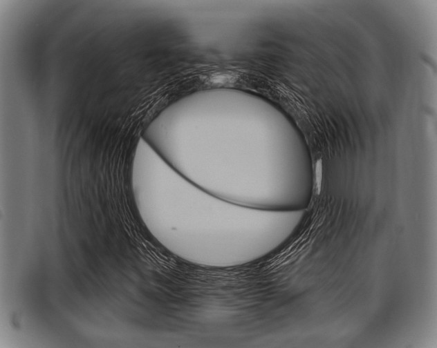 X0000098111443200804040751