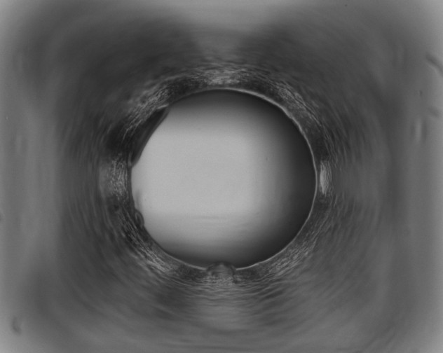 X0000098111444200804040751