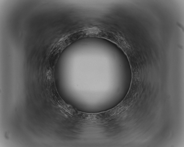 X0000098111445200804040751