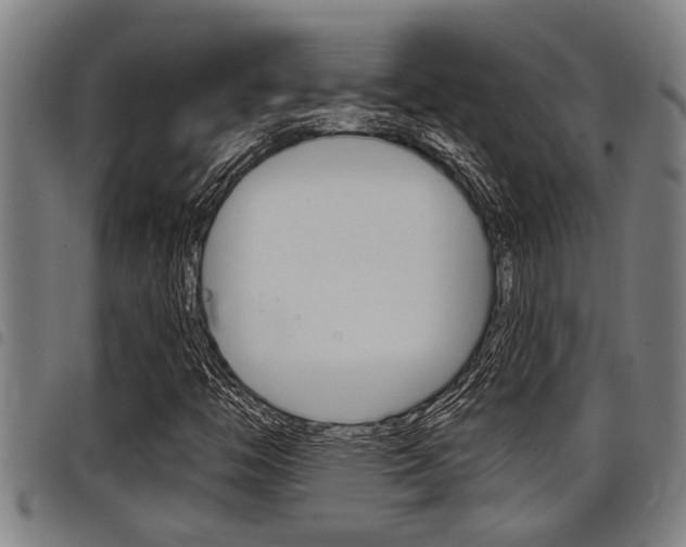 X0000098111446200804040751