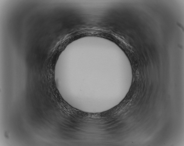 X0000098111447200804040751