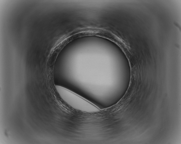 X0000098111448200804040750
