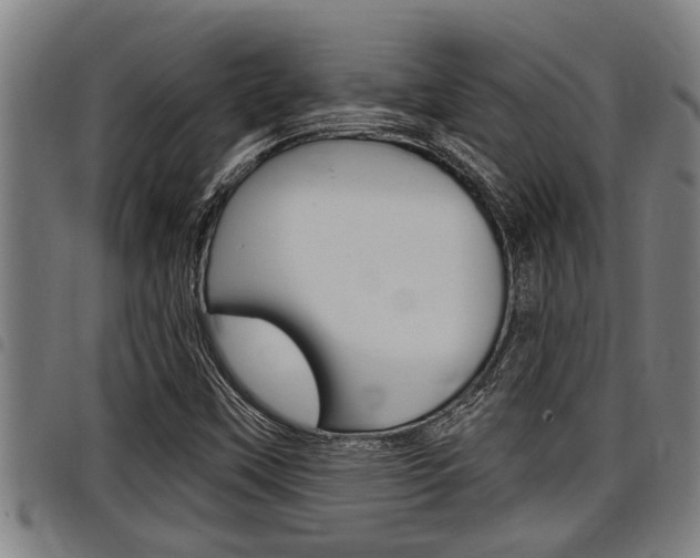 X0000098111451200804040750