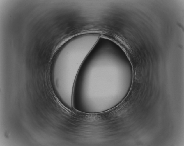 X0000098111452200804040750