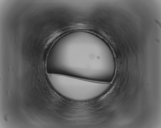 X0000098111453200804040750