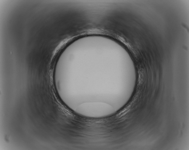 X0000098111454200804040750