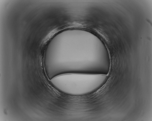 X0000098111455200804040750