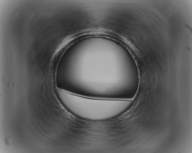 X0000098111456200804040750