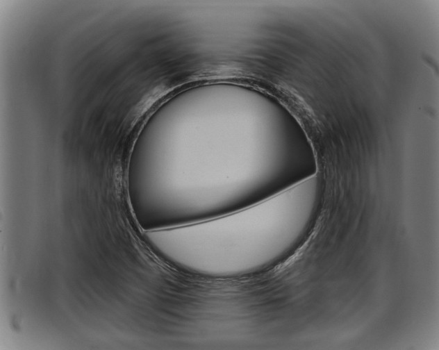 X0000098111457200804040750