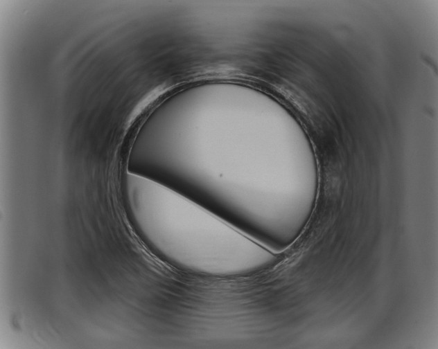 X0000098111458200804040750