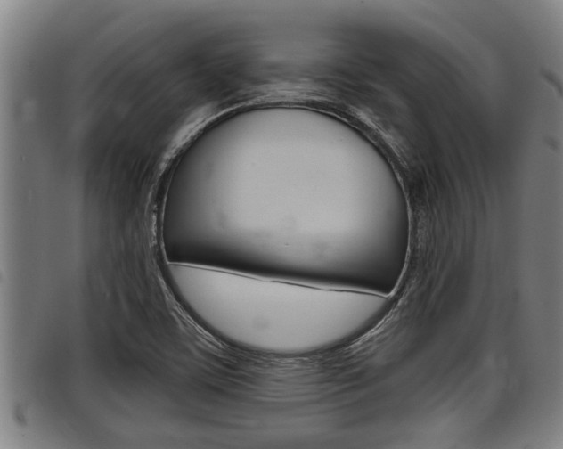 X0000098111459200804040750