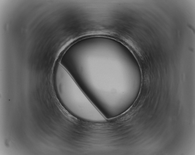 X0000098111460200804040750