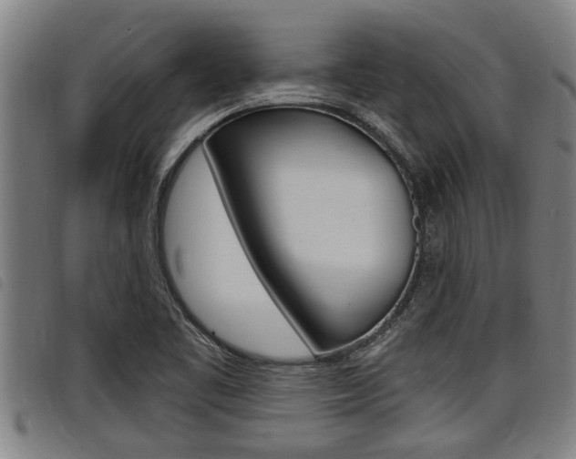 X0000098111461200804040750