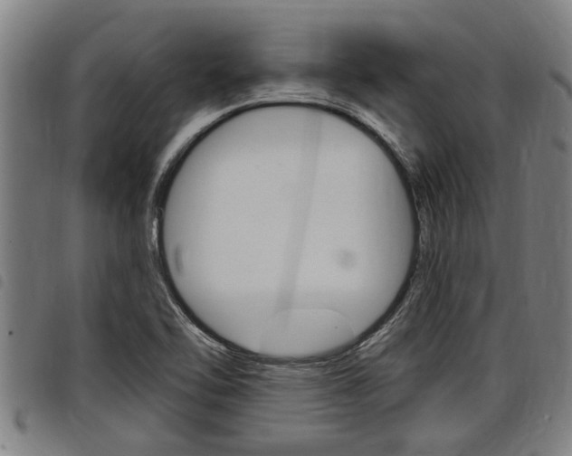 X0000098111462200804040750