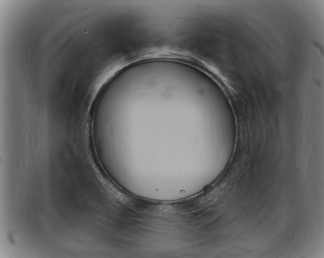X0000098111463200804040750