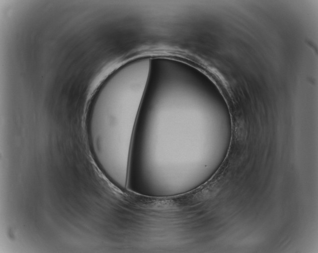 X0000098111464200804040750