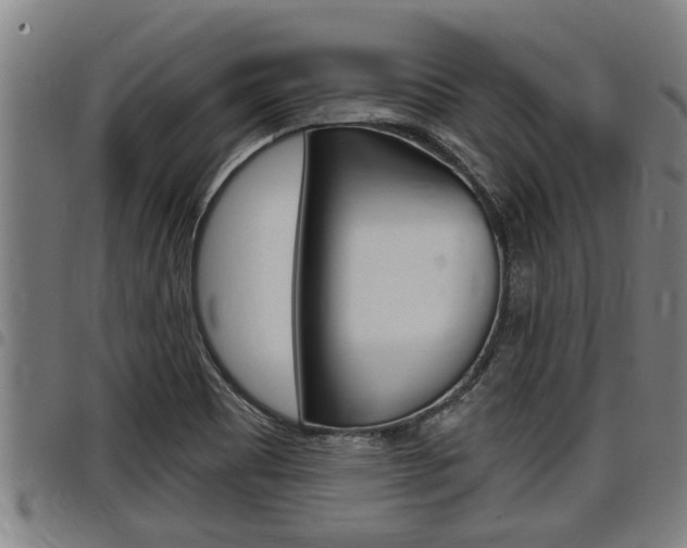 X0000098111465200804040750