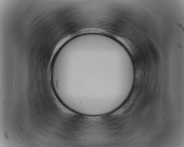 X0000098111466200804040750