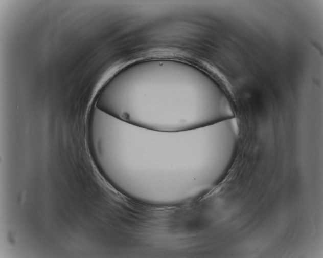 X0000098111467200804040750