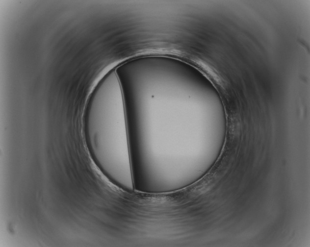 X0000098111468200804040750