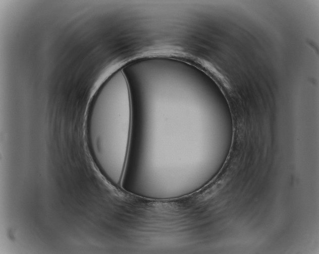 X0000098111469200804040750