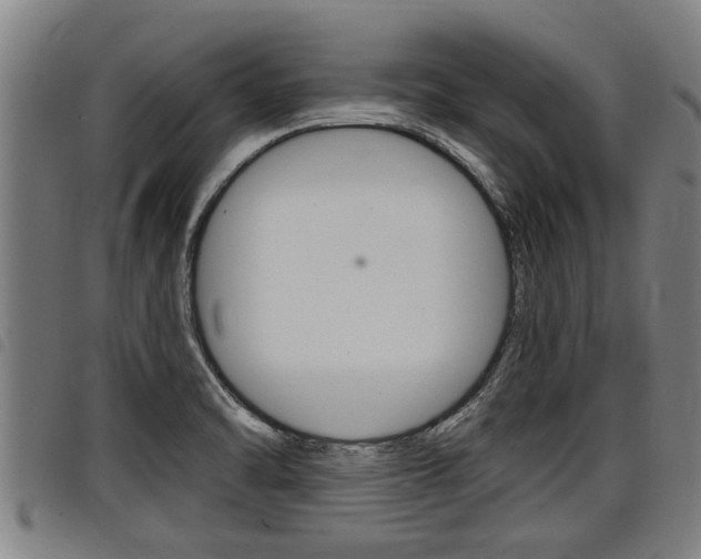 X0000098111470200804040750
