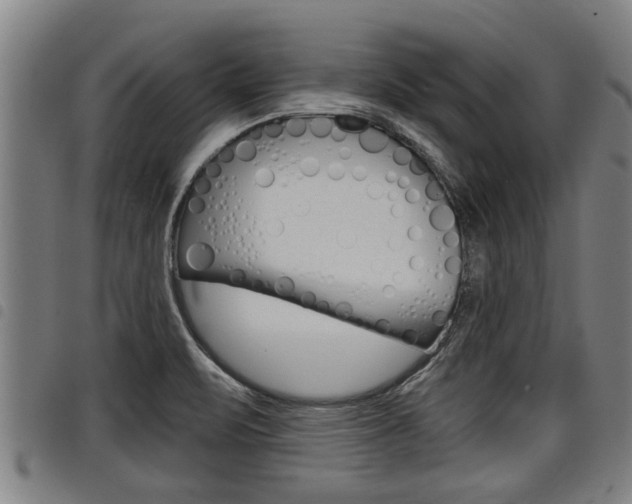 X0000098111471200804040750