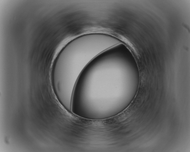 X0000098111472200804040750