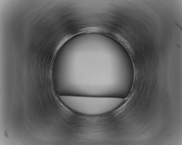 X0000098111473200804040750