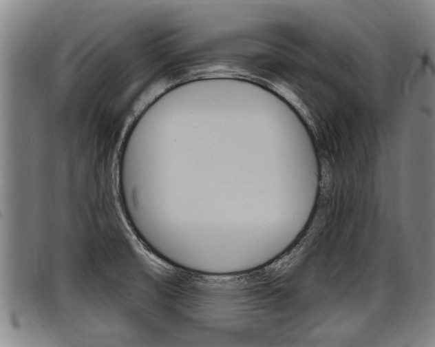 X0000098111474200804040750