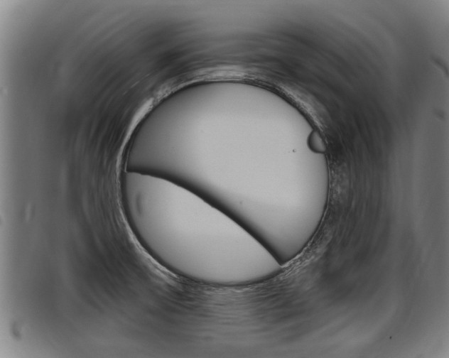 X0000098111475200804040750