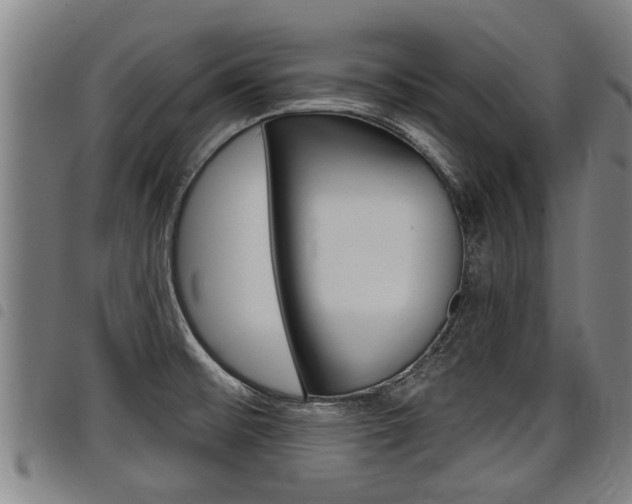 X0000098111476200804040750