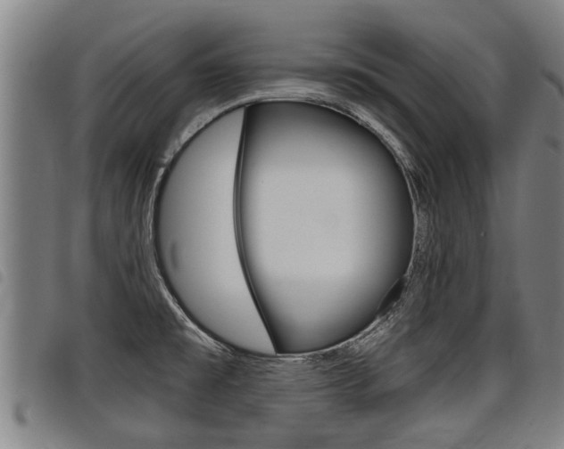 X0000098111477200804040750