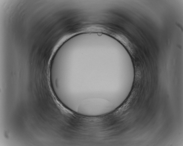 X0000098111478200804040750
